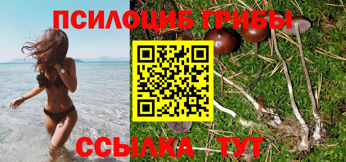 Галлюциногенные грибы прущие грибы Феодосия